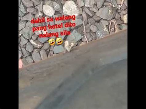 damuhan porn|Sa damuhan muna kasi walang panghotel. .